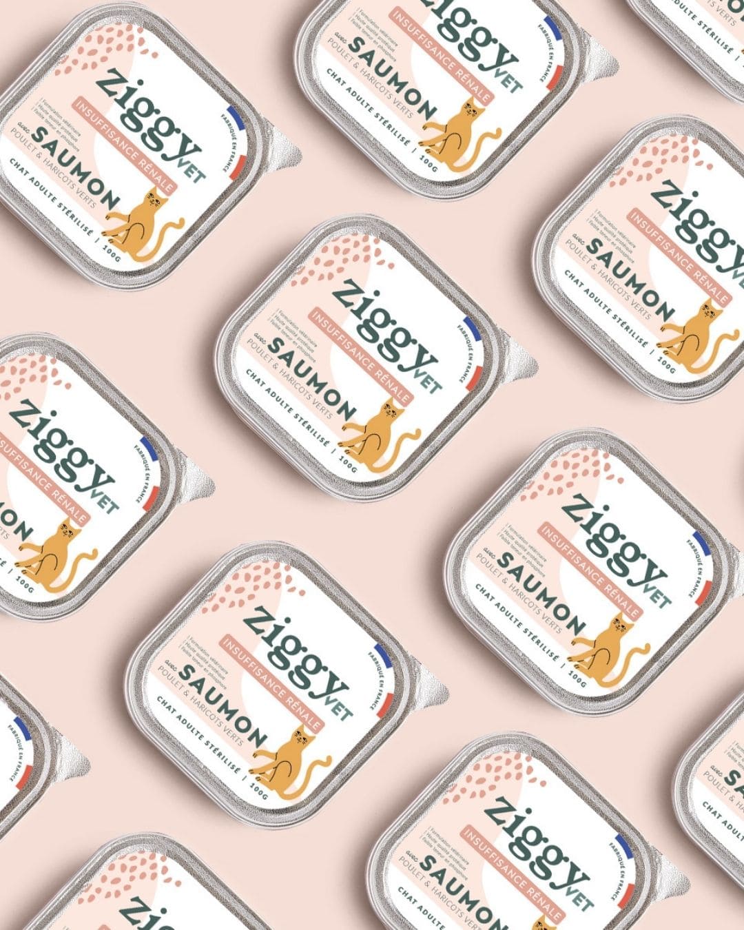 Pâtée Ziggy Rénal, visuel produit détouré