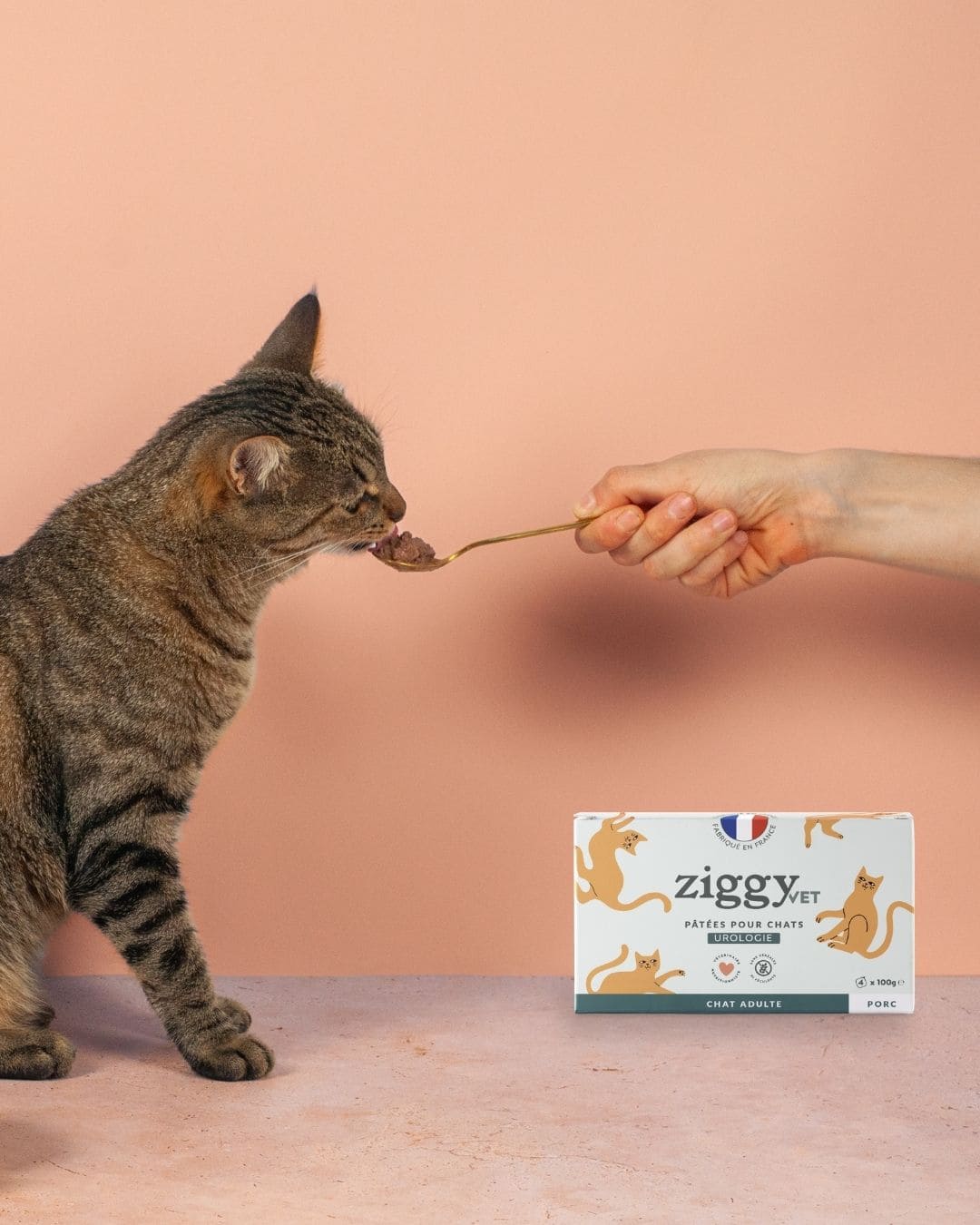 Pâtée Ziggy Urologie, mise en situation avec un chat