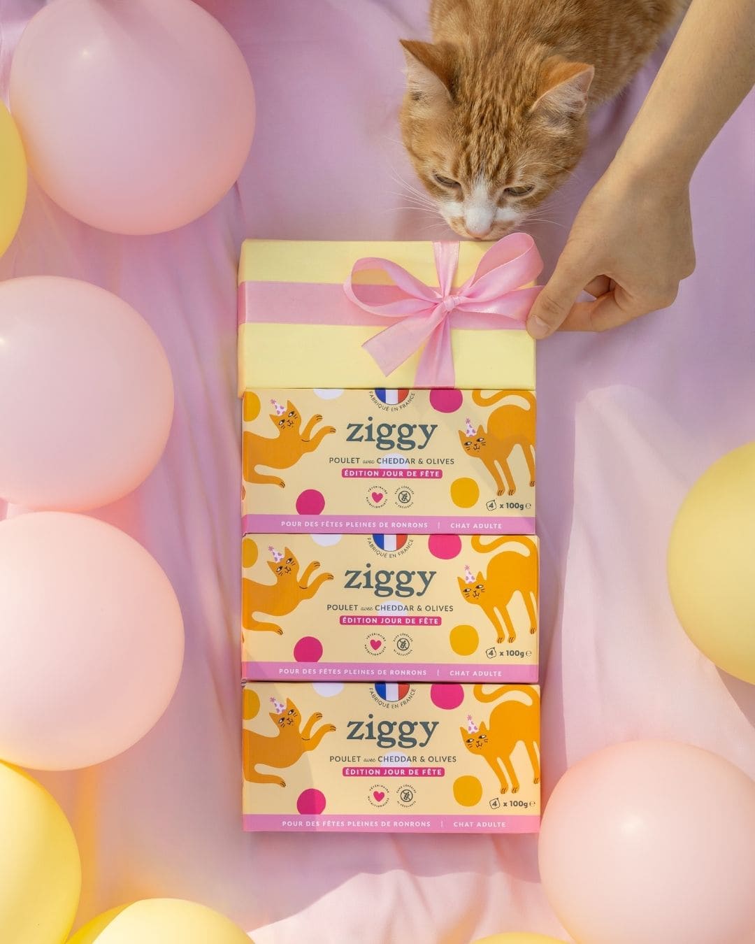Pâtée Ziggy Jour de Fête, photo produit vue de face