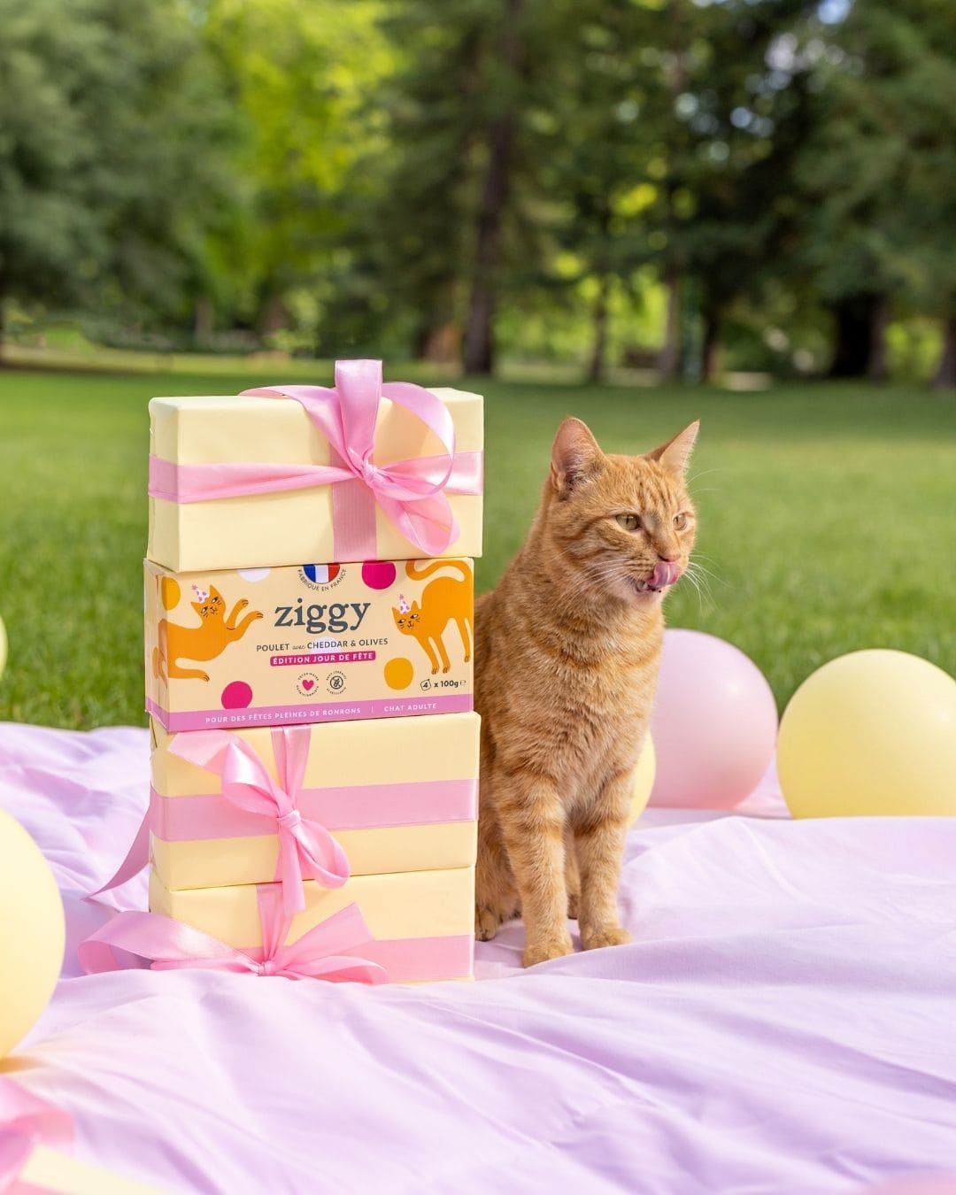 Pâtée Ziggy Jour de Fête, gros plan sur l'emballage