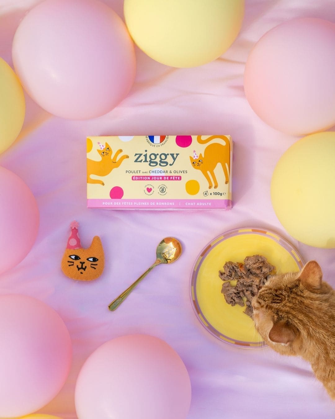 Pâtée Ziggy Jour de Fête, photo produit vue de face