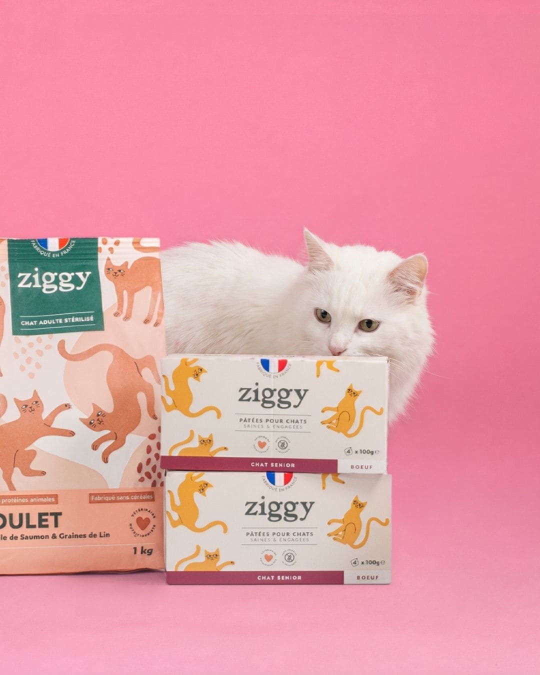 Pâtée Ziggy Senior Boeuf, visuel produit détouré