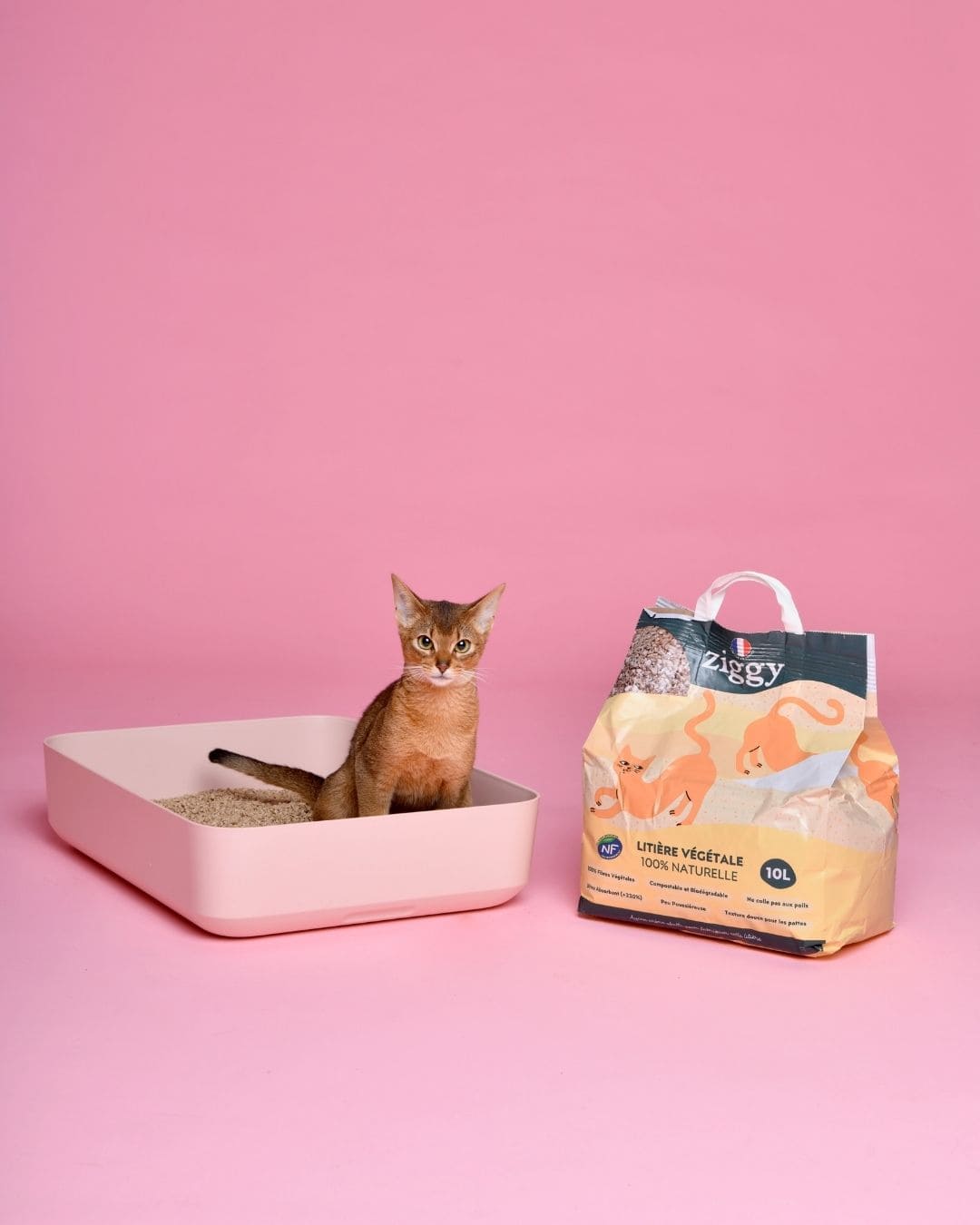 100% Natural Plant-Based Litter for Cats - 10L – Ziggy