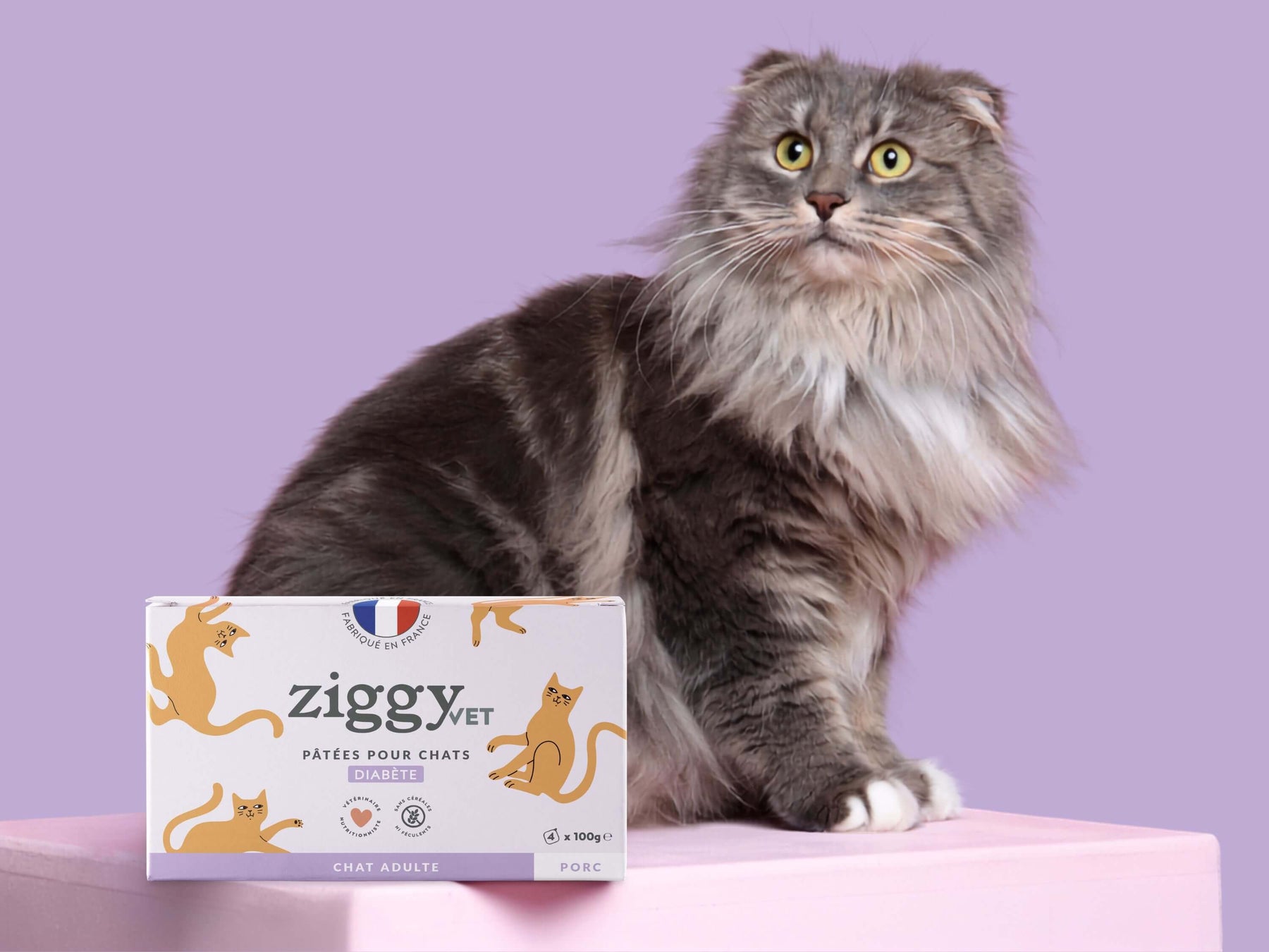 Pâtée Ziggy Diabète, visuel produit détouré