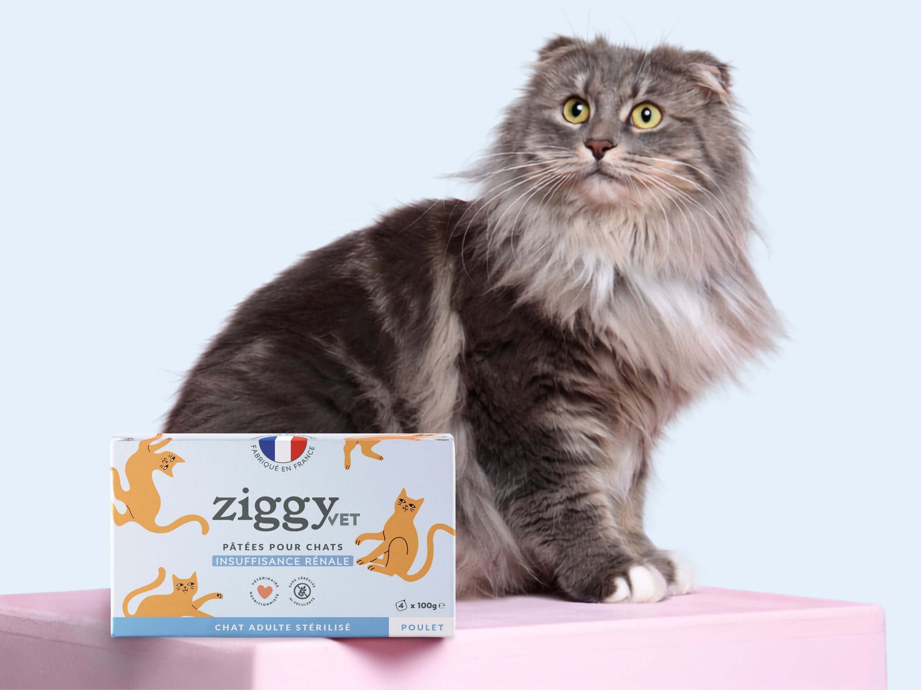 Pâtée Ziggy Rénal Poulet, packshot sur fond neutre