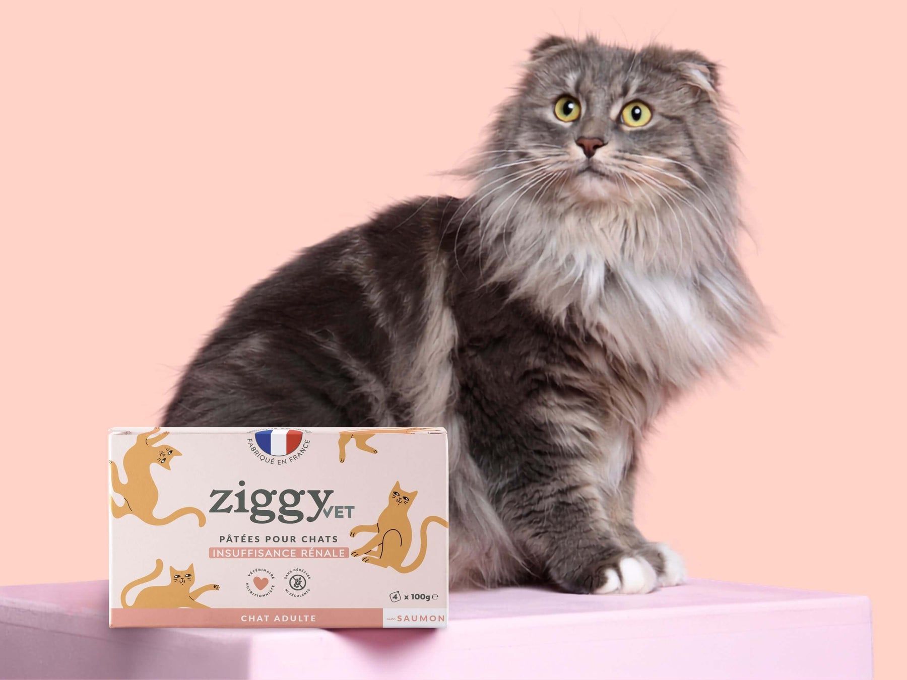 Pâtée Ziggy Rénal, gros plan sur l'emballage
