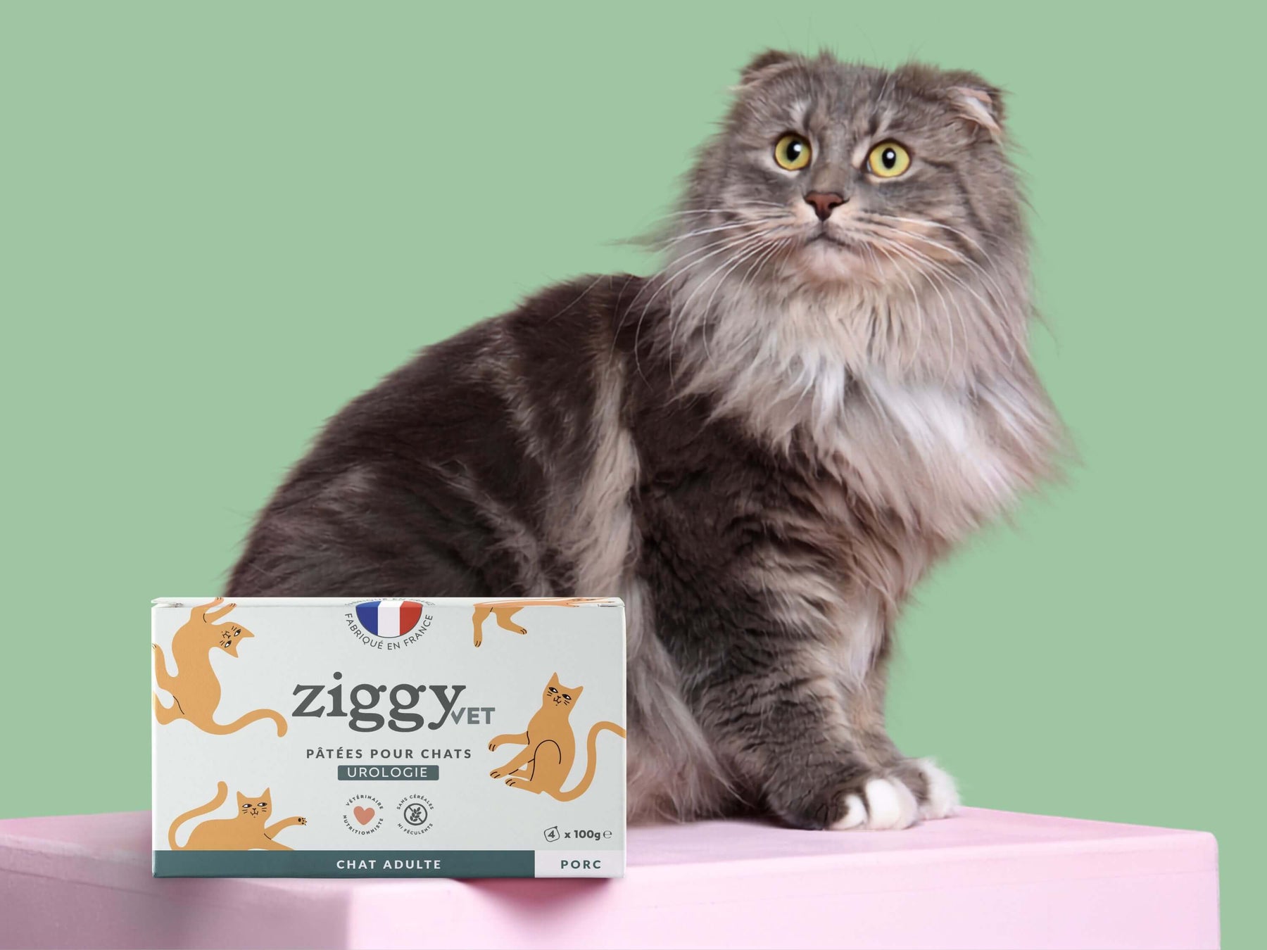 Pâtée Ziggy Urologie, visuel produit détouré