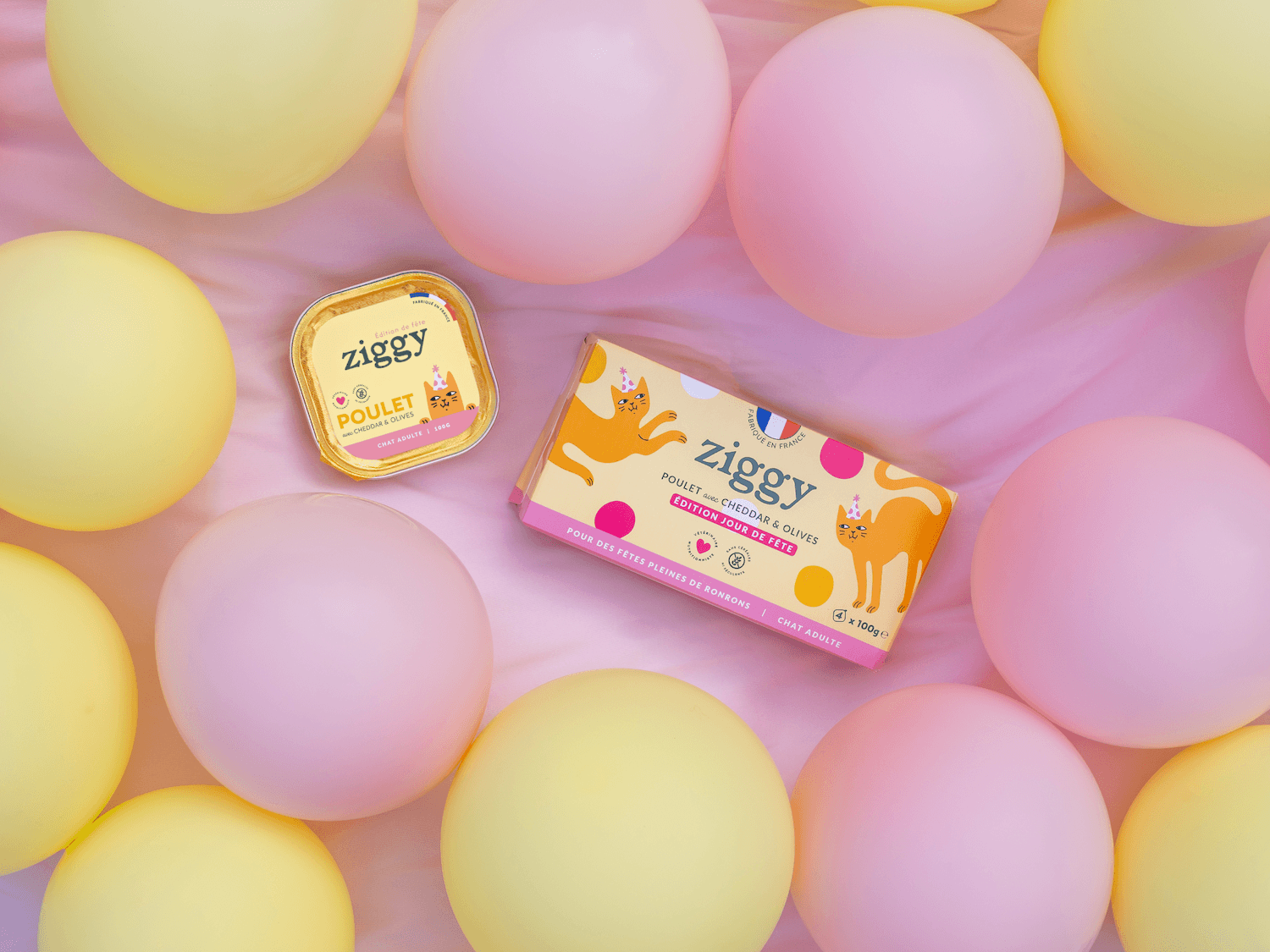 Packshot pâtée Ziggy Édition Jour de Fête poulet cheddar et olives,  4x100g fond rose