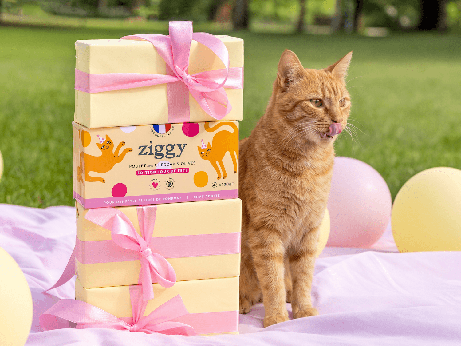 Pâtée Ziggy Jour de Fête poulet cheddar décor festif, alimentation premium pour chat adulte