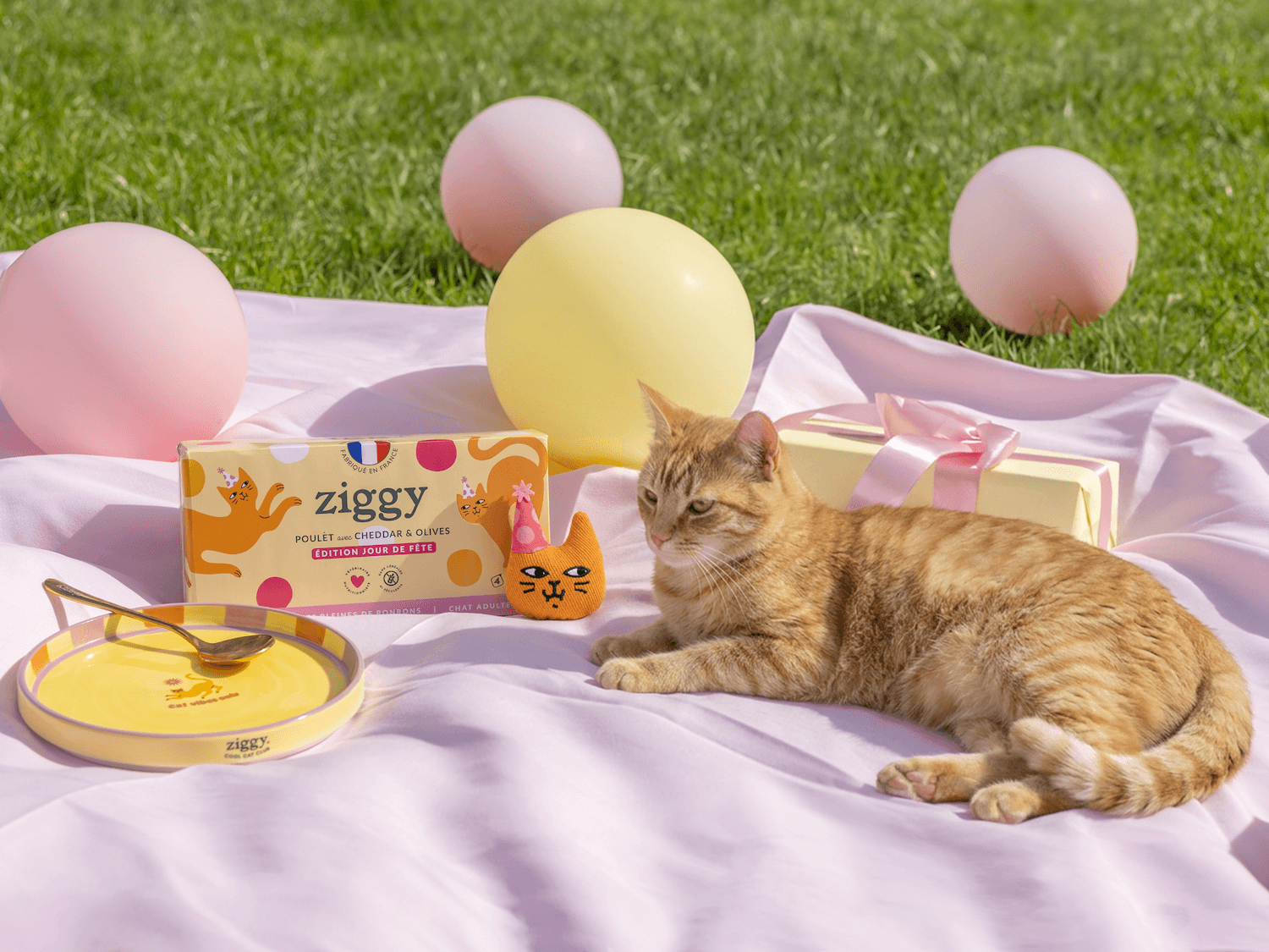 Chat avec pâtée Ziggy Édition Jour de Fête, coffret 4x100g poulet cheddar et olives