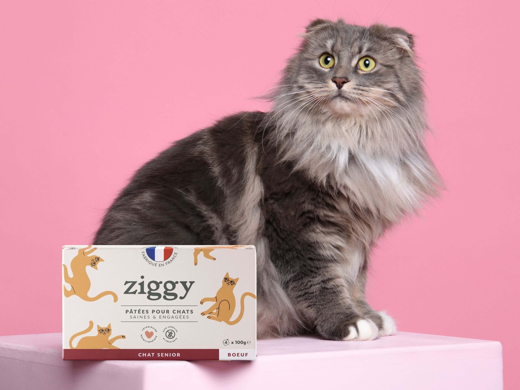 Pâtée Ziggy Senior Boeuf, photo produit vue de face
