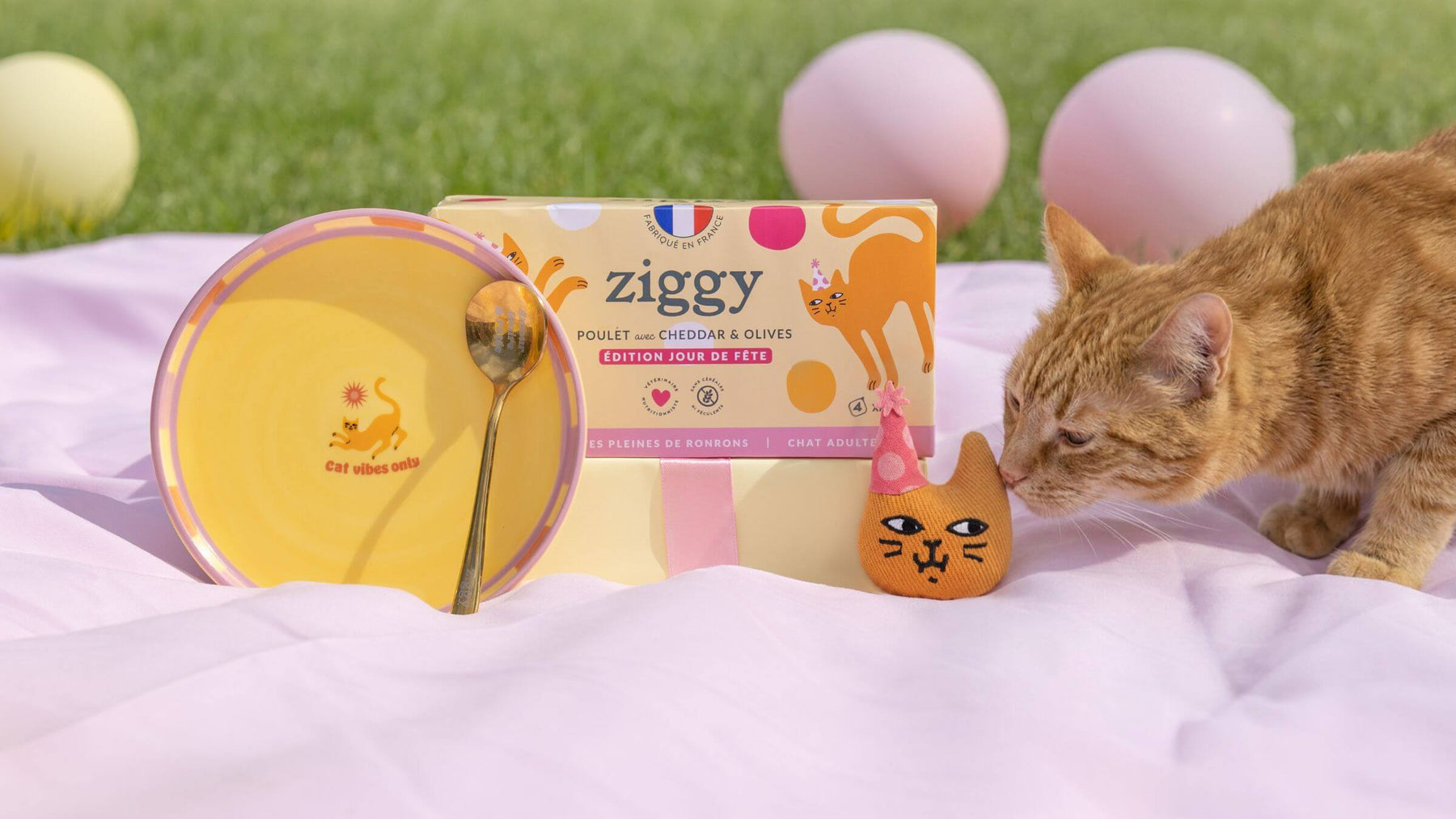 Peluche Ziggy édition Jour de Fête, second visuel produit détouré