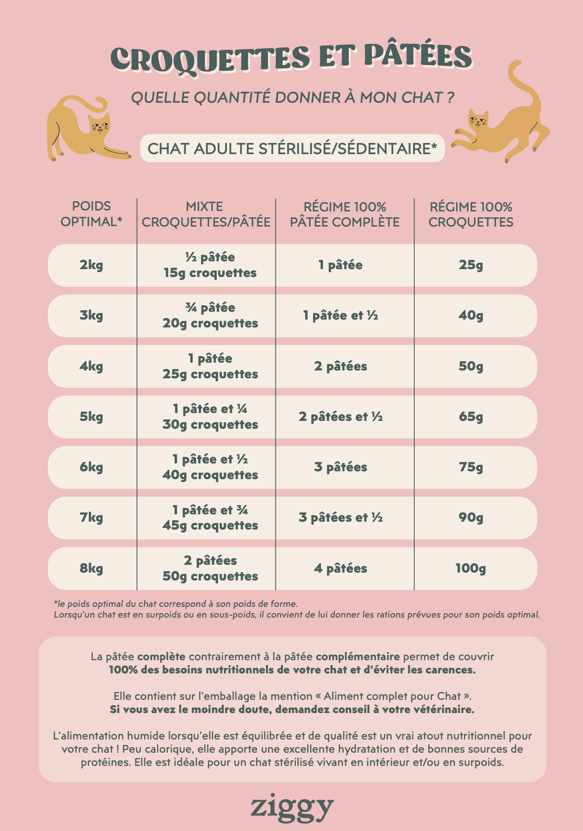 Affiche des rations de croquettes et pâtées Ziggy donner à son chat adulte