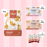 Coffret découverte chaton avec 1kg de croquettes chaton, 8 pâtées pour chaton et 3 sachets de probiotiques 