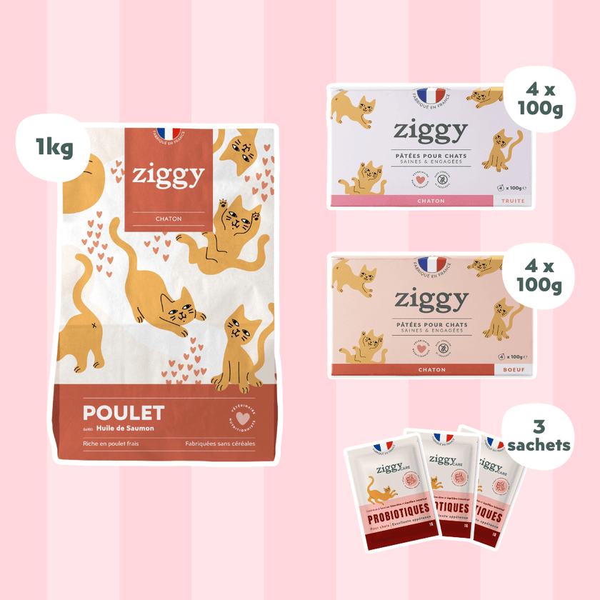 Coffret découverte chaton avec 1kg de croquettes chaton, 8 pâtées pour chaton et 3 sachets de probiotiques 
