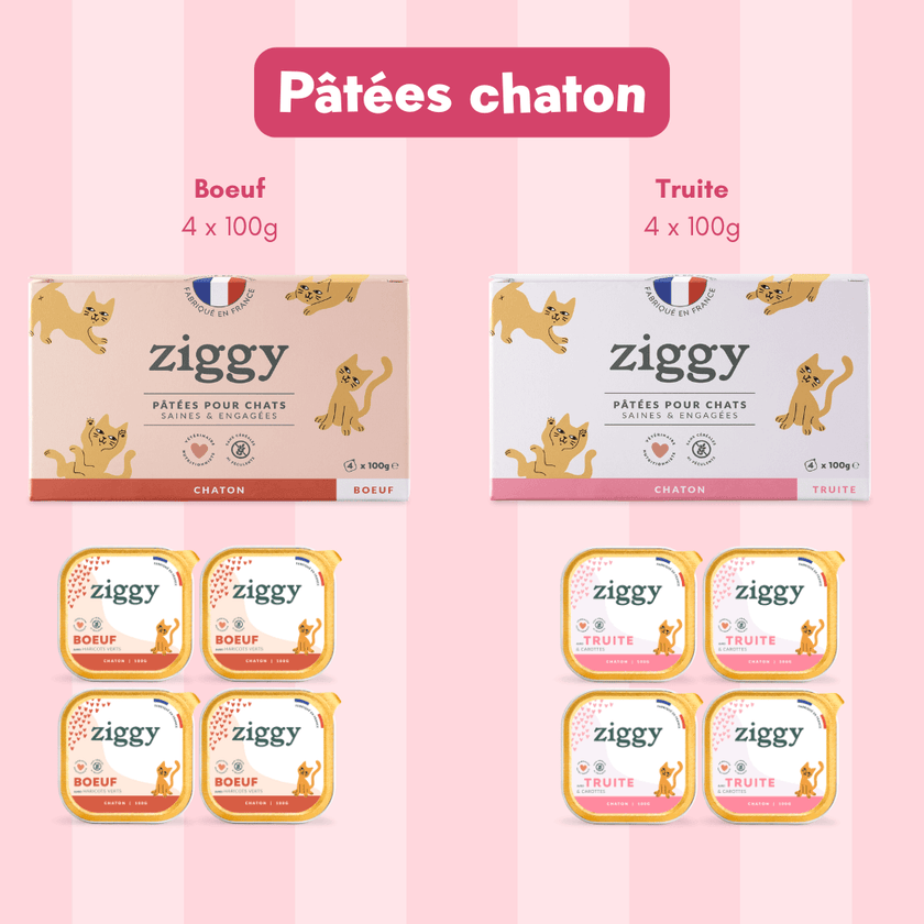 8 pâtées chaton Ziggy