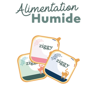 pictogramme Alimentation humide pour chat