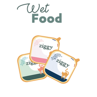 pictogramme Alimentation humide pour chat en anglais