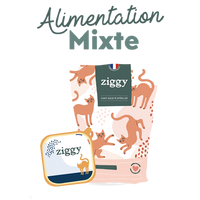 pictogramme Alimentation mixte pour chat