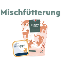 pictogramme Alimentation mixte pour chat en allemand