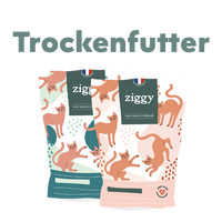 pictogramme Alimentation sèche pour chat en allemand