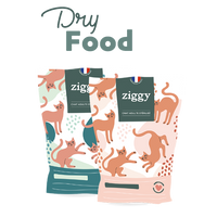 pictogramme Alimentation sèche pour chat en anglais