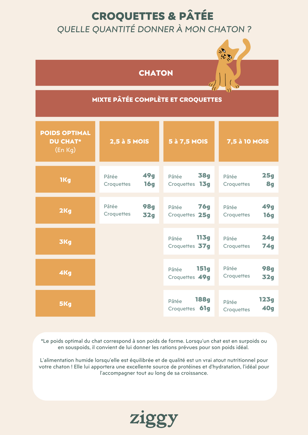 Tableau des quantités de croquettes et pâtées à donner à son chaton - Quelle alimentation choisir pour mon chaton ? De 2 à 12 mois.