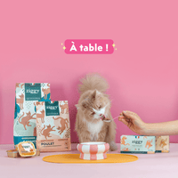 Chat adulte stérilisé roux qui mange de la pâtée pour chat adulte stérilisé Ziggy à côté de la gamelle et du tapis de gamelle pour chat Ziggy