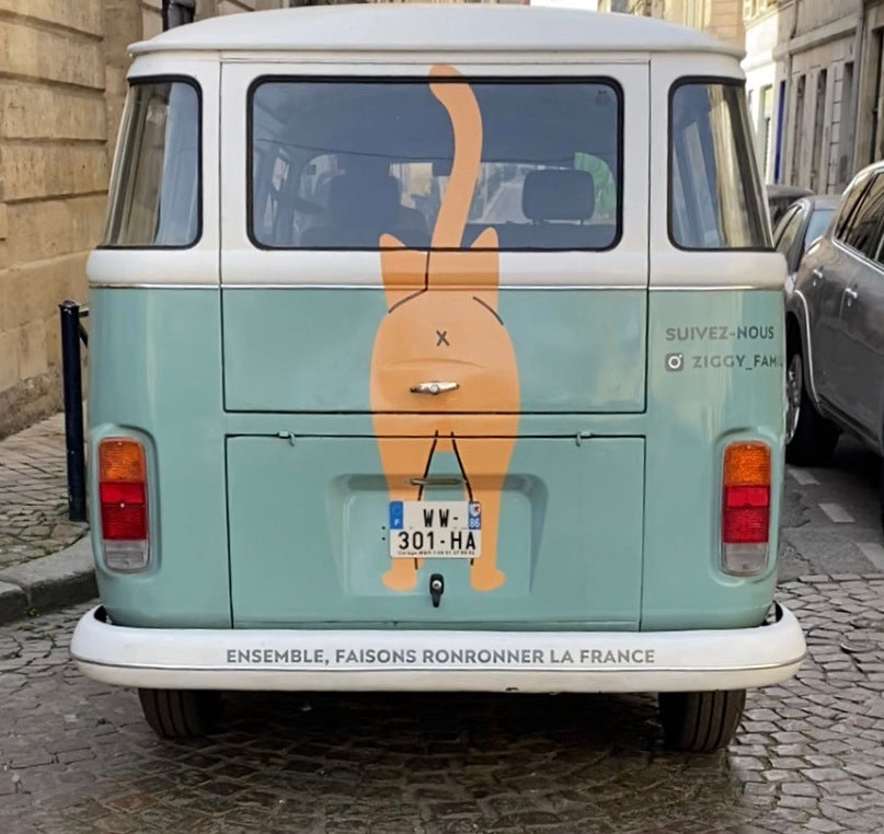 combi volkswagen chat Ziggy