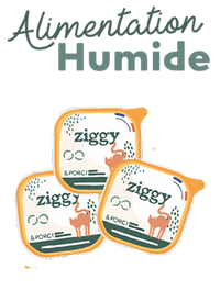 Ziggy alimentation humide